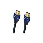 Câble HDMI AUDIOQUEST Blueberry HDMI (1 m)