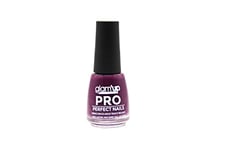 Glam’Up Paris - Vernis à Ongles XL Pro - Vernis Professionnel Haut de Gamme - Séchage Rapide - Haute Couvrance - Longue Tenue - Pinceau Ultra Large - Effet Gel - 18 ml - N°407 - Purple