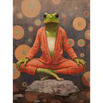 The Enlightened Frog Meditation Yogi Conceptual Artwork Green Coral Pink Yoga Mindfulness Unframed Wall Art Print Poster Home Decor Premium