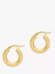 The Hoop Station La Curvaceous Mini Hoop Earrings, Gold