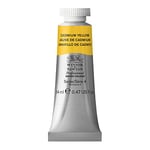 Winsor & Newton Professional Watercolour Paint, Artist Quality, Finest Pigments, Cadmium Yellow, 14 ml Tube