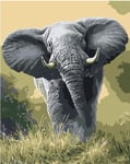 votgl Painting by Numbers for Adults DIY Oil Painting Kits Gray Elephant Painting by Numbers Drawing on Canvas Painted Art Decor Gifts