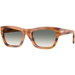 Lunettes de soleil Persol  PO0091S  Lunettes de soleil, écaille, 53 mm