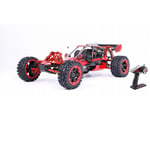 LOSA 2WD RC Petrol Buggy, 1/5 Gas Off Road Car Toy with 36cc Gasoline Engine for Adult, 2.4G Radio Controller Included,Red