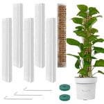 Vicloon Tuteur Plante en Plastique, 6pcs Tuteur Plante Grimpante, Poteaux en Mousse Transparent, Tuteur Monstera, Poteaux Grimpantes pour Maison Jardin de Support de Plante