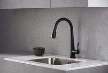 Kitchen Faucet With Pull-Out Hose Blue Water Stabili, Black Color