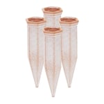 Arrosage terre cuite Cone arrosage lot 4 Arrosage automatique Arrosage tomates