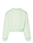 Cropped Printed Sweatshirt Green Tom Tailor