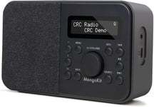 Pr2S Radio Numerique Dab Portable,Et Radio Fm,Haut-Parleur Bluetooth,Radio Dab Personnelle Avec Ecran,Reveil Et Reveil,40 Stations Prereglees,Ecouteurs,Piles Et Alimentation Secteur-Noir