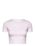 Aeroknit Seamless Fitted Cropped Tee W Pink Adidas Performance