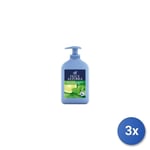 3x Felce Azzurra Avec Anti Bactérien Menthe Et Limes 300Ml Savon Liquide