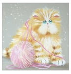 Tom Cat ‘Purrling' Funny Cat Card Kim Haskins Humorous Greetings Cards Birthday