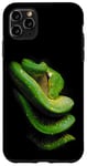 Coque pour iPhone 11 Pro Max Gardien de reptiles serpent python arbre vert