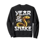 Year Of The Wood Snake Chinese New Year 2025 Sweatshirt