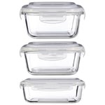 Freska 520/800/1520ml Borosilicate Glass Lunch Box Food Container Airtight Lid