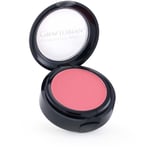 Graftobian Pro Powder Blush Compact Healthy Glow