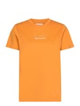 Saint Tropez Ebbasz T-Shirt Orange