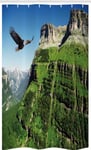 Eagle Stall Shower Curtain Bird Mountain Fly