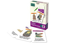 Ancient Egyptians Snap & Pairs Card Game KS1 KS2 History Ancient Civilizations