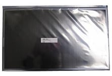 Lenovo LCD Screen