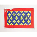 Drapeau Sarthe 45x30cm - PAVILLON département français - Pays de la Loire 30 x 45 cm haute qualité - AZ FLAG