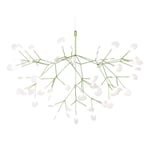 Heracleum III Large - Green