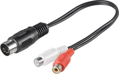 DIN hane till RCA hona adapter stereo 0.2m