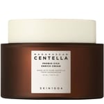 SKIN1010 SKIN1004 Madagascar Centella Probio-Cica Enrich Cream 50ml