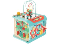 Hape Magic Activity Cube