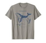 Humpback Anatomy apparel Whale Nautical T-Shirt