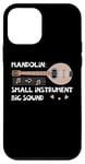 iPhone 12 mini Mandolin Small Instrument Big Sound Mandolin Player Musician Case