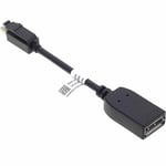 Adaptateur Convertisseur Dell De Mini Displayport Mâle Mini-Dp À Dp Femelle