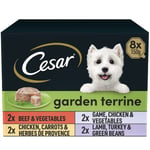 Cesar Garden Terrine Adult Wet Dog Food, Mixed Selection in Loaf, Garnished with Garden Vegetables, 8 x 150 g Trays (Pack of 3)