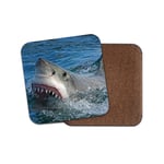 Great White Shark Attack Coaster - Ocean Marine Hunter Sea Predator Gift #15238