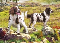 Otter House Spaniels On The Moor Jigsaw Puzzle (1000 Pieces)