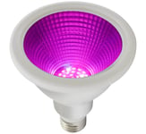 Växtlampa Grow LED E27 PAR30 12W 30° IP65