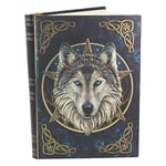 Nemesis Now Wild One Lisa Parker Journal Bleu 18 cm Revêtement en Papier sans Bois Format