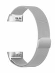 Fitbit Charge 3/4 metalliranneke L, hopea