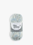 West Yorkshire Spinners Bo Peep Luxury Baby DK Yarn, 50g