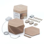 Nanoleaf Elements 13 Hexagons Starter Kit 13 Pack - belysning