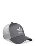 Adidas Originals Adicolor Classic Curved Foam Trucker Grå