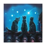 Wish Upon a Star Three Cats Lisa Parker Artwork LED Light Up Canvas Wall Plaque