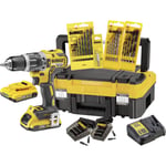 DCK796D2T 2 vitesses-Perceuse-visseuse à percussion sans fil + accessoires R543341 - Dewalt