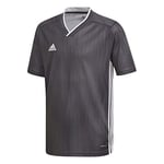 adidas Tiro 19 Jersey - Dgh Solid Grey/White, 152