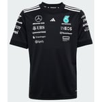 adidas Mercedes - AMG Petronas Formula One Team Driver Black Tröja Barn, storlek 164 cm