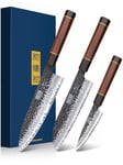 HOSHANHO 3 Pièces Set Couteau Cuisine, Ensemble de Couteaux Japonais Super Tranchant, Set de Couteaux Professionnel, Couteau de Chef, Couteau Santoku, Couteau d'office avec Coffret Cadeau