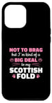 iPhone 12 Pro Max Not To Brag Big Deal To My Scottish Fold Case