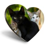 Heart MDF Coasters - Cute Kittens Black Tabby Ginger Cat  #24573