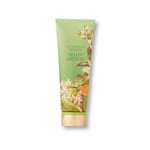 Victoria's Secret Melon Drench Fragrance Body Lotion 236ml