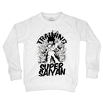 Sweat-Shirt Enfant Training Super Sayan Dragon Ball Z Dbz Manga Entrainement